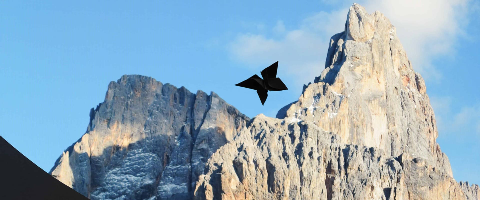 Cradle ALP