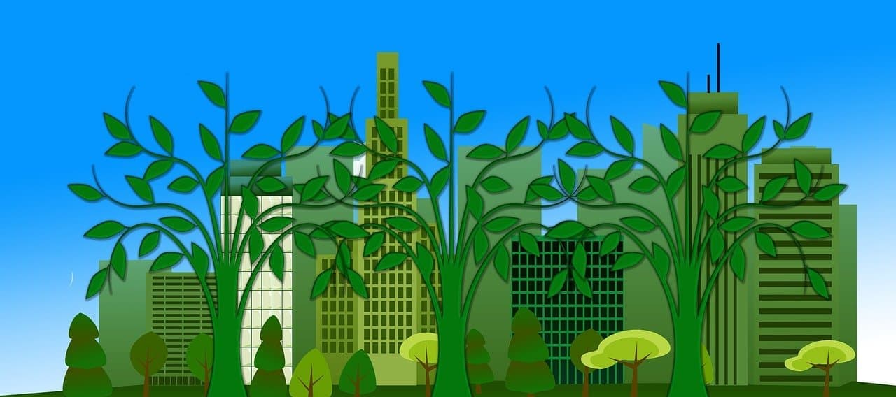Prodotti di finanziamento per la forestazione