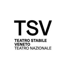 Fondazione Teatro Stabile del Veneto