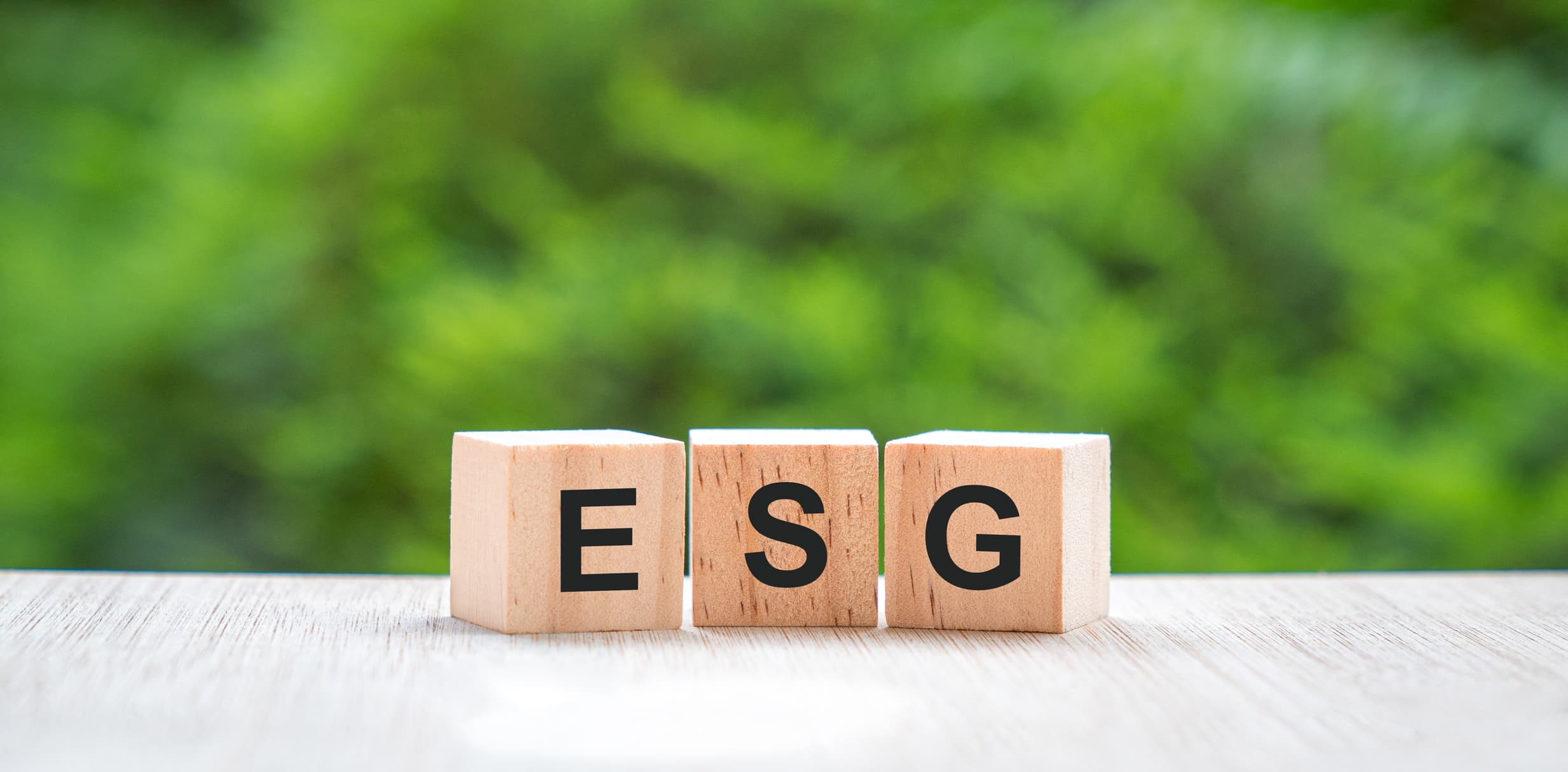 Supporto finanziario alle imprese ESG
